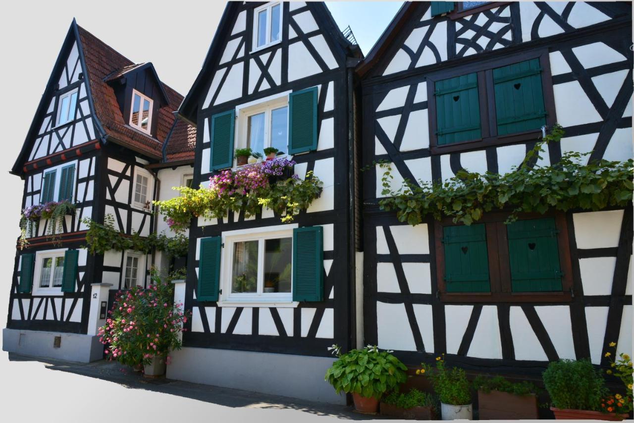 Ferienwohnung Gisela Jockgrim エクステリア 写真